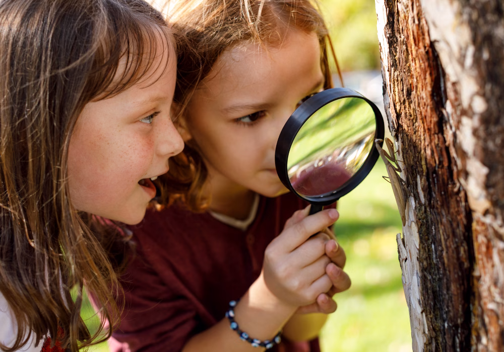 Calendrier Intégration des enfants autistes en milieu de garde